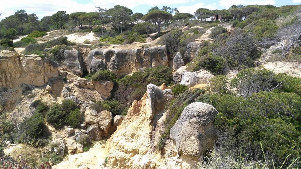 Villa Lena Albufeira Dış mekan fotoğraf