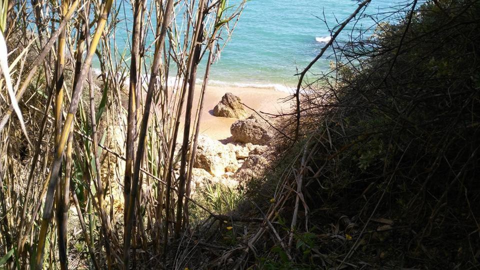 Villa Lena Albufeira Dış mekan fotoğraf
