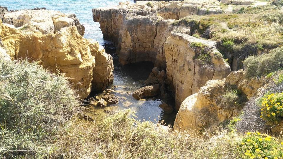 Villa Lena Albufeira Dış mekan fotoğraf