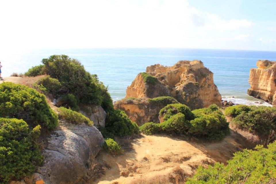 Villa Lena Albufeira Dış mekan fotoğraf