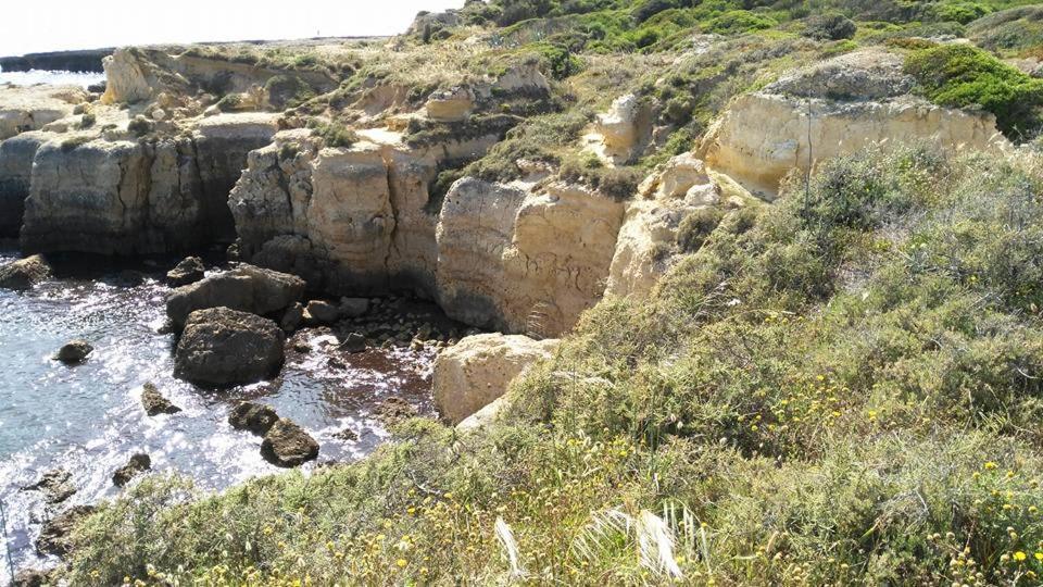 Villa Lena Albufeira Dış mekan fotoğraf